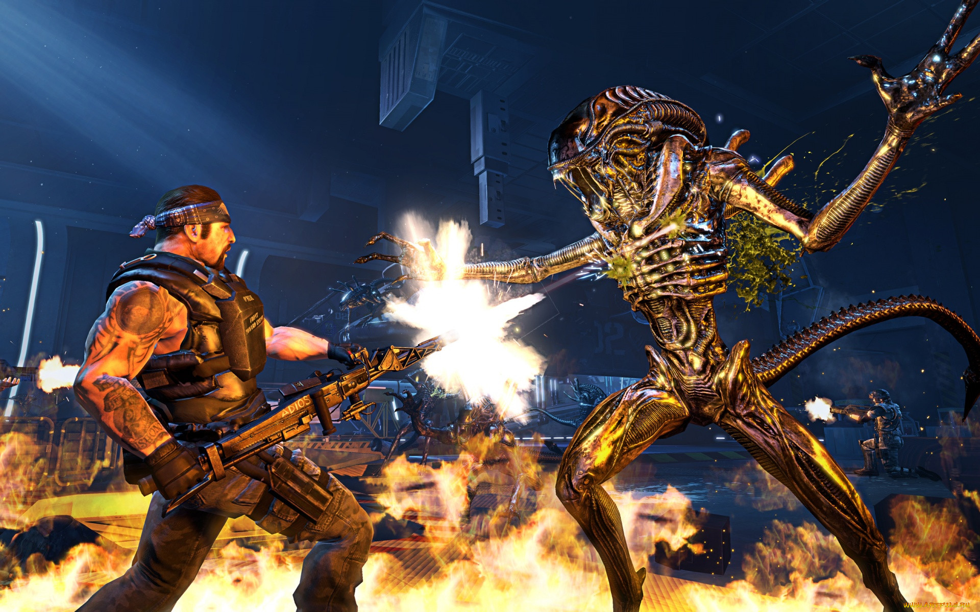 aliens, colonial, marines, , , , 